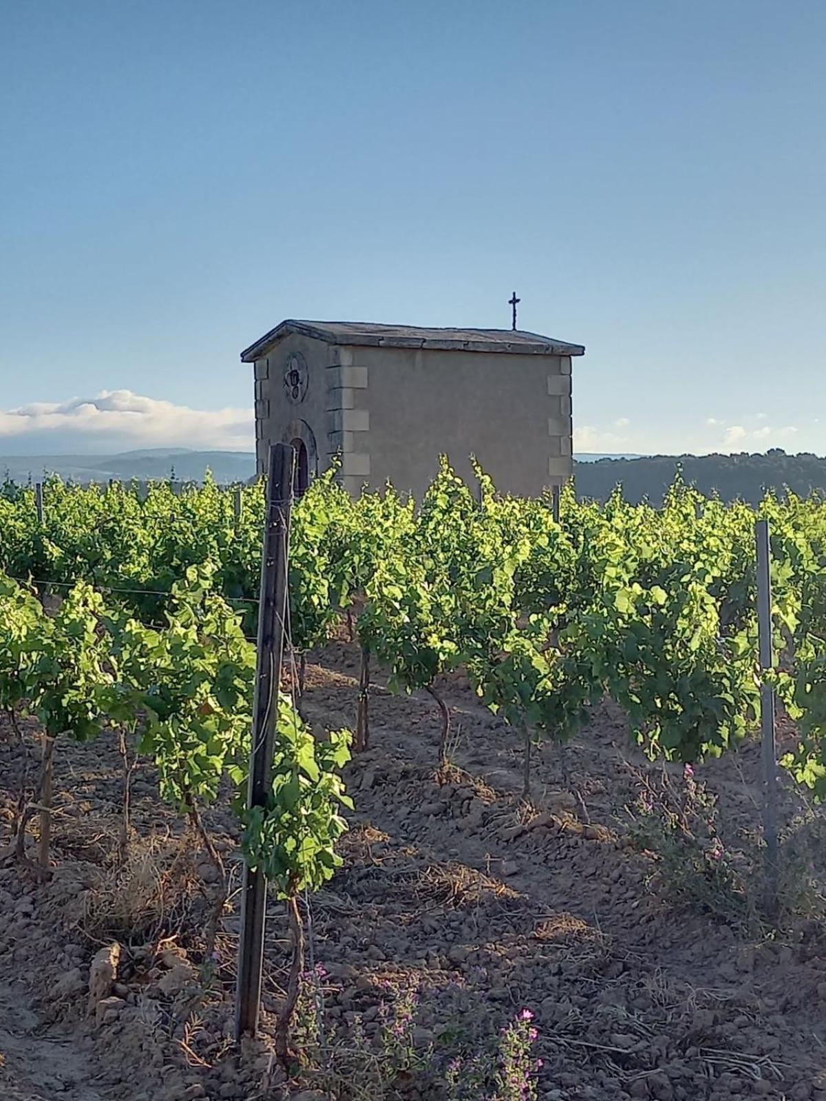 Domaine Saint Augustin Villa Rieux-Minervois Екстериор снимка