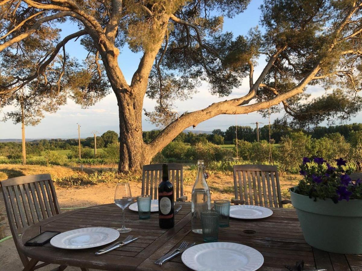 Domaine Saint Augustin Villa Rieux-Minervois Екстериор снимка