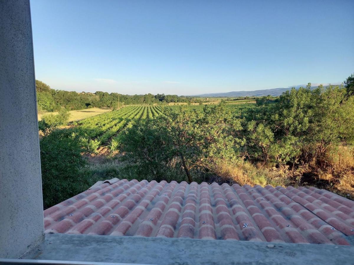 Domaine Saint Augustin Villa Rieux-Minervois Екстериор снимка