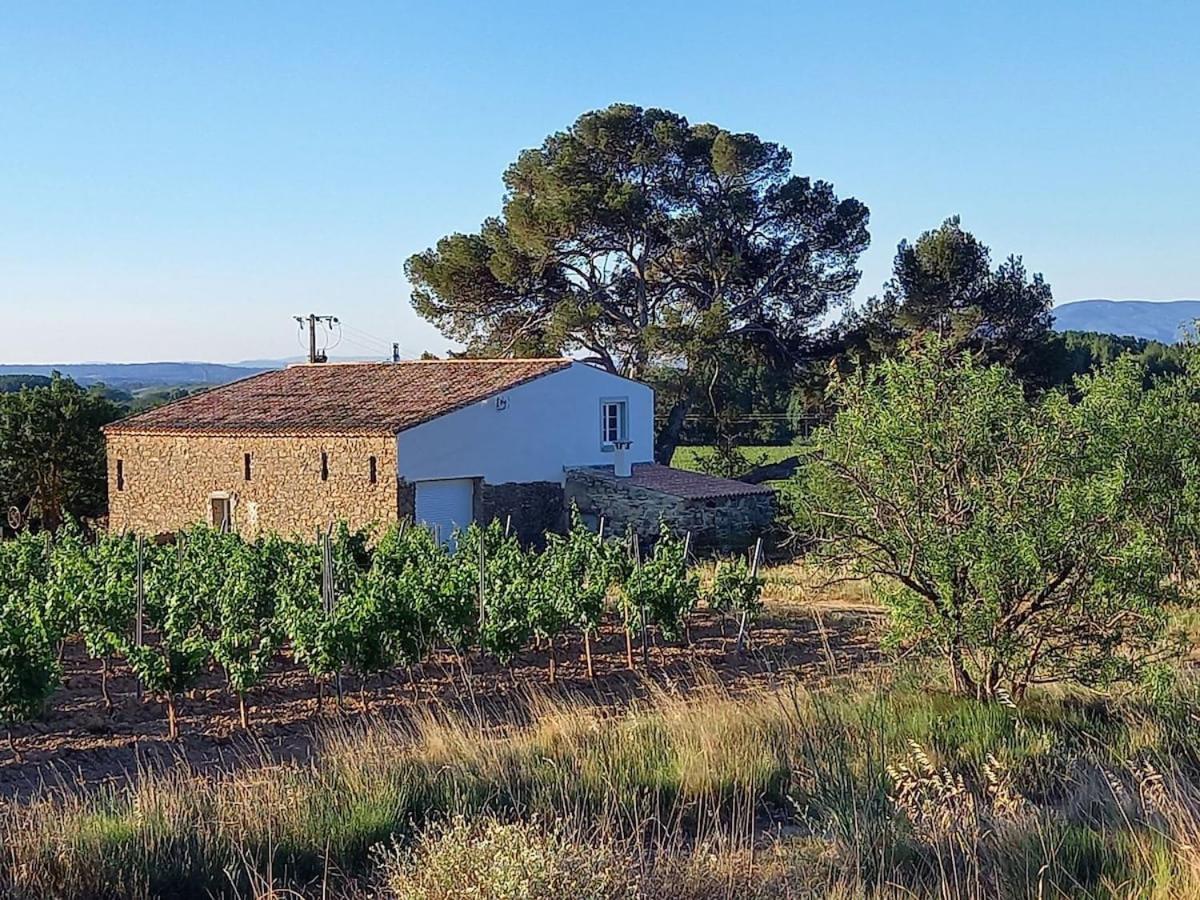 Domaine Saint Augustin Villa Rieux-Minervois Екстериор снимка